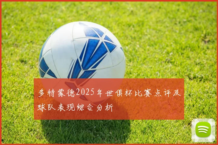 多特蒙德2025年世俱杯比赛点评及球队表现综合分析