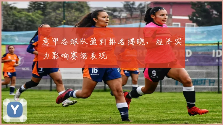 意甲各球队盈利排名揭晓，经济实力影响赛场表现