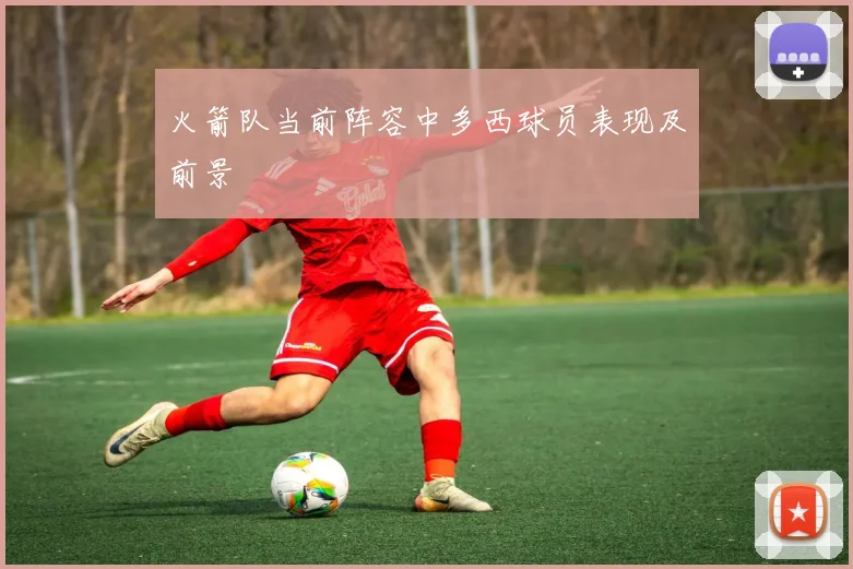 火箭队当前阵容中多西球员表现及前景